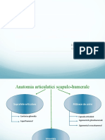 Articulatia Scapulo-Humerala - MODIFICAT