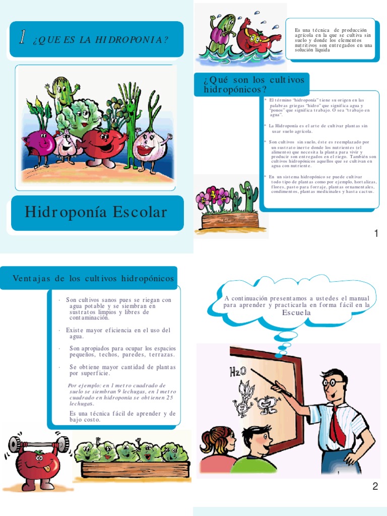 Soluciones Nutritivas En Hidropona