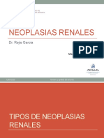 S36. Neoplasias renales.pptx