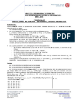 Subiecte-atestat-Programare-Intensiv.docx