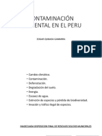 Contaminaciòn Ambiental en El Perù