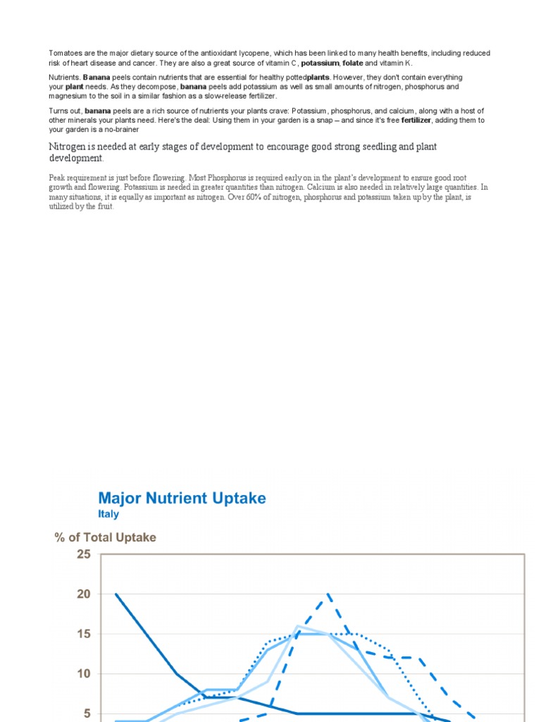 Tomatoes Lycopene Heart Disease Cancer Source Vitamin C Potassium