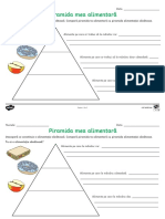 T T 5467 Piramida Alimentatiei Sanatoase Fisa de Activitate PDF