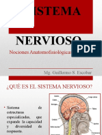 Sistema nervioso (1)