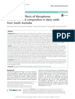 Evaluation of Effects of Mycoplasma Mastitis On Mi