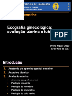 2007 Genito-urinário Ecografia obstétrica