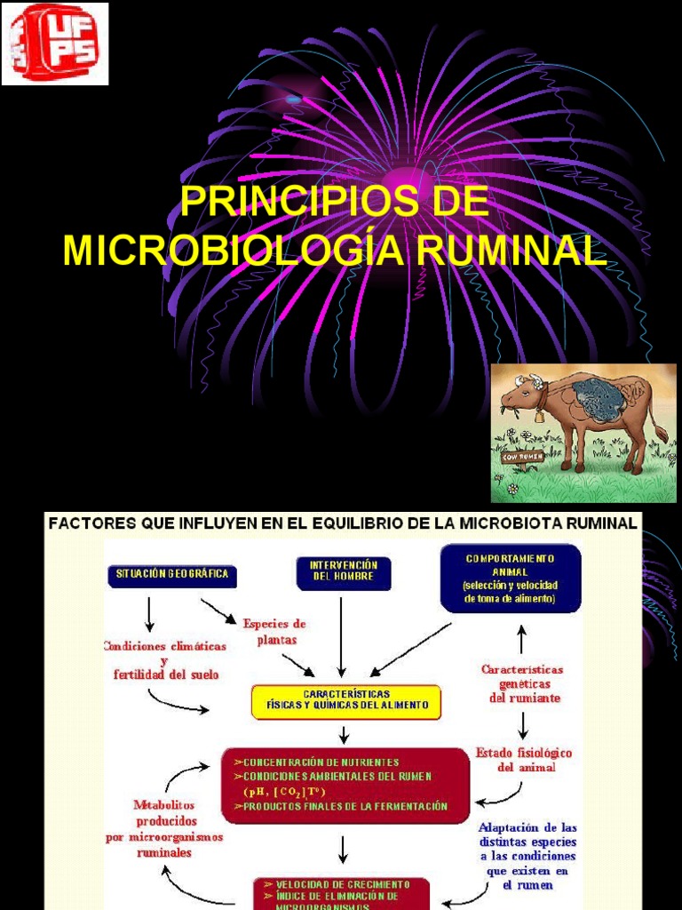 Microbiologia Ruminal | PDF | Las bacterias | Biología
