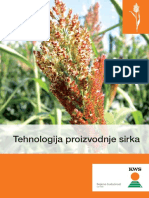 KWS Tehnologija Proizvodnje Sirka