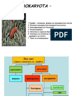 1.5.prokariotska Kletka 1 Cas