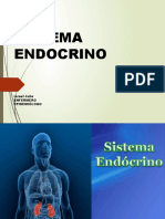 1-A Sistema Endocrino