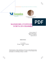 Manejo del cultivo de la uchuva pdf.pdf