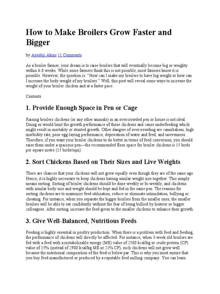How To Make Broilers Grow Faster and Bigger PDF Broiler Chicken