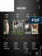 Crianza de ganado: etapas y costos