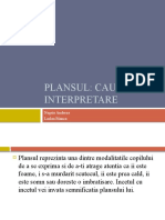 Plansul.pptx