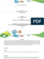 Fase 5 - Informe - Actividad