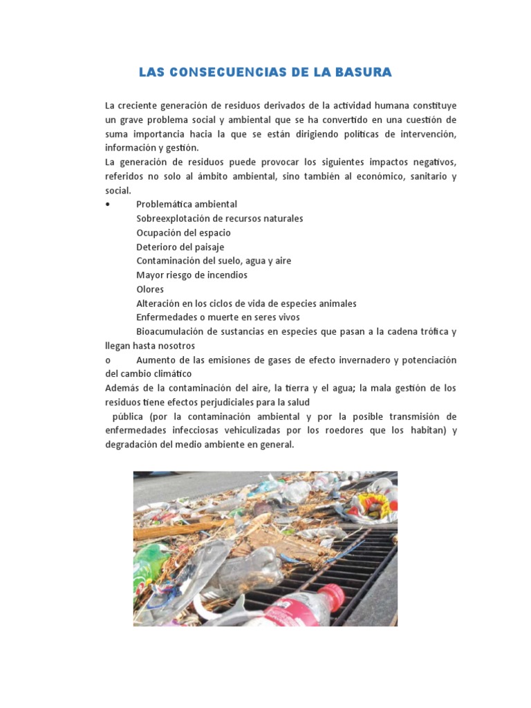Consecuencias de la Basura en Salud y Ambiente | PDF | Salud y ...