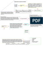 Regeneración y Reparación de Tejidos