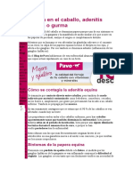 Nuevo Documento de Microsoft Word