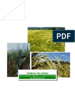 Caderno de Campo - Cereais