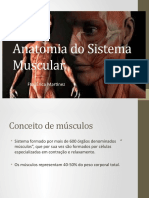 Anatomia do Sistema Muscular.pptx