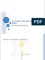 anatomia-radiolc3b3gica-dos-mmii-teoria.pdf