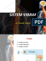 Sistem Syaraf