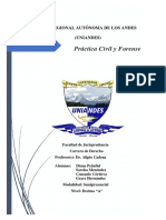 Analisis Juridico-Primera y Segunda Instancia-Reinvindicaciã - N