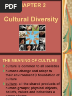 Cultural Diversity