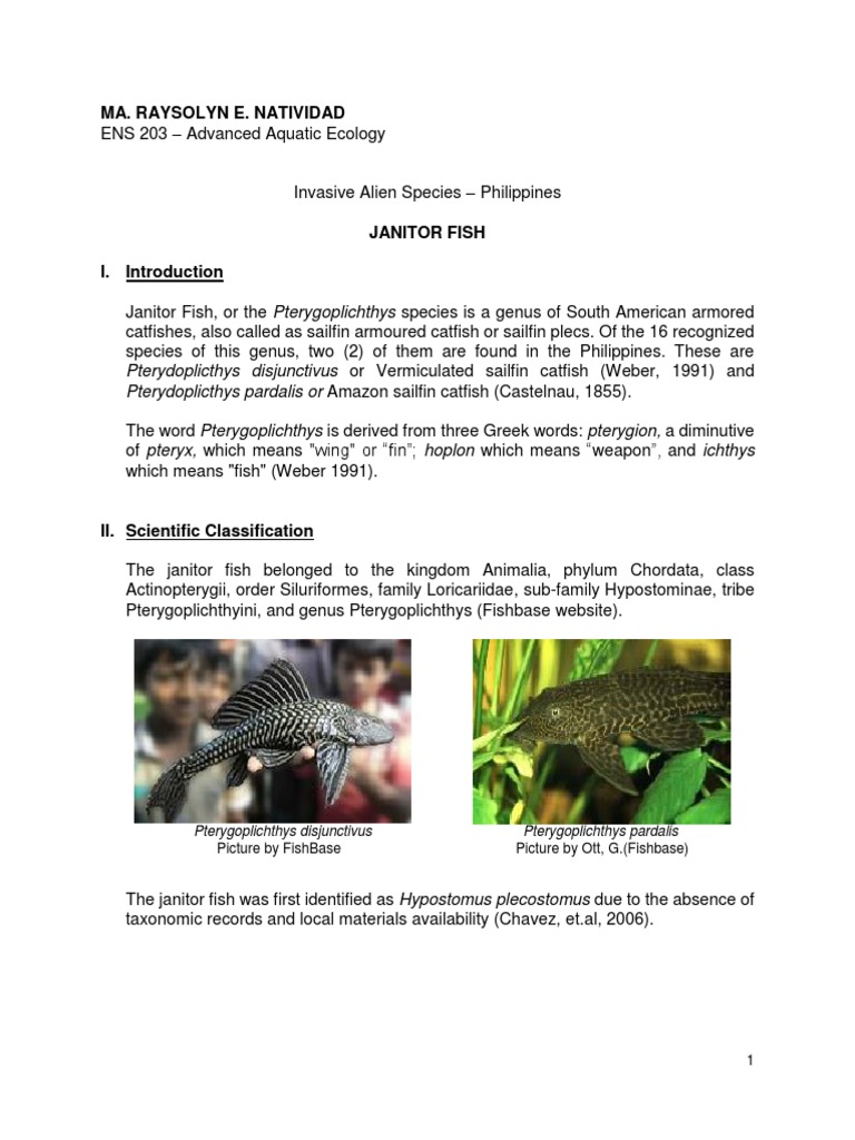 Janitor Fish: Invasive Species in the Philippines | PDF | Organisms ...