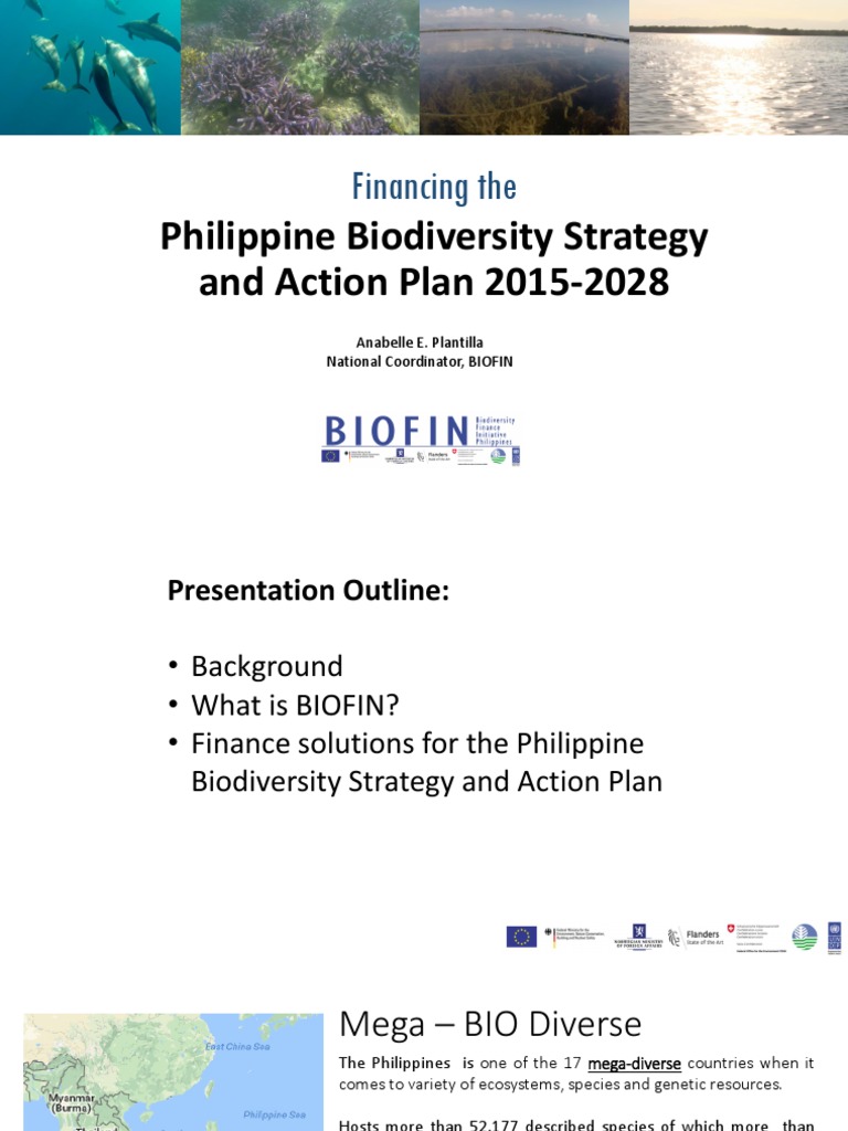 Financing Philippine Biodiversity 2015-2028 | PDF | Public–Private ...