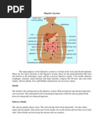 Digestive Sysytem