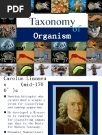 BIO Taxon