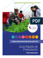Guia Rapida de Postulacion 2020-21 PDF