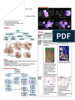 COPD Types and Pathology