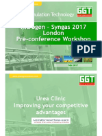 Nitrogen - Syngas 2017 London Pré-Conference Workshop