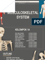 Musculoskeletal System