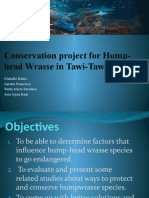 Conservation Project For Hump-Head Wrasse in Tawi-Tawi