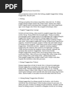 Download ALAT PERNAPASAN MANUSIA vertebrata by Evi LiDya CIe Baratz SN48732511 doc pdf