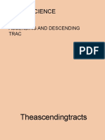 Neuroscience: Ascending and Descending Trac