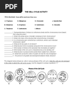 The Cell Cycle Activity: Fill in The Blank