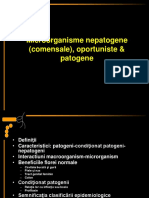 microbiocenoze-epid-infectioasa-2014