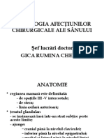 Semiologia Afecţ Iunilor Chirurgicale Ale Sânului Ş Ef Lucr Ări Doctor Gica Rumina Chebac