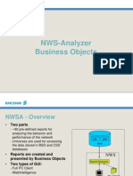 NWS-Analyzer Business Objects