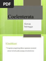 ppt Coelenterata