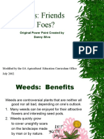 Weeds: Friends or Foes?: Original Power Point Created by Danny Silva