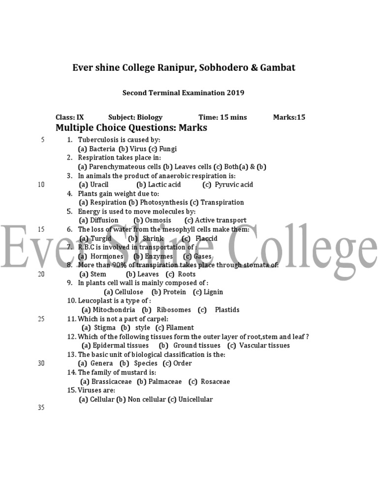 ever-shine-college-ranipur-sobhodero-gambat-second-terminal