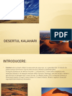 Desertul Kalahari