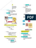 Functional Classification of The Peripheral Nervous System