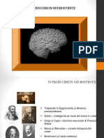 Introducere in Neurostiinte Curs 34857460028245202456 PDF