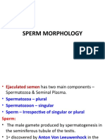 Sperm Morphology - 2019 Final